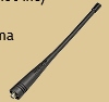 Dual-band Antenna
